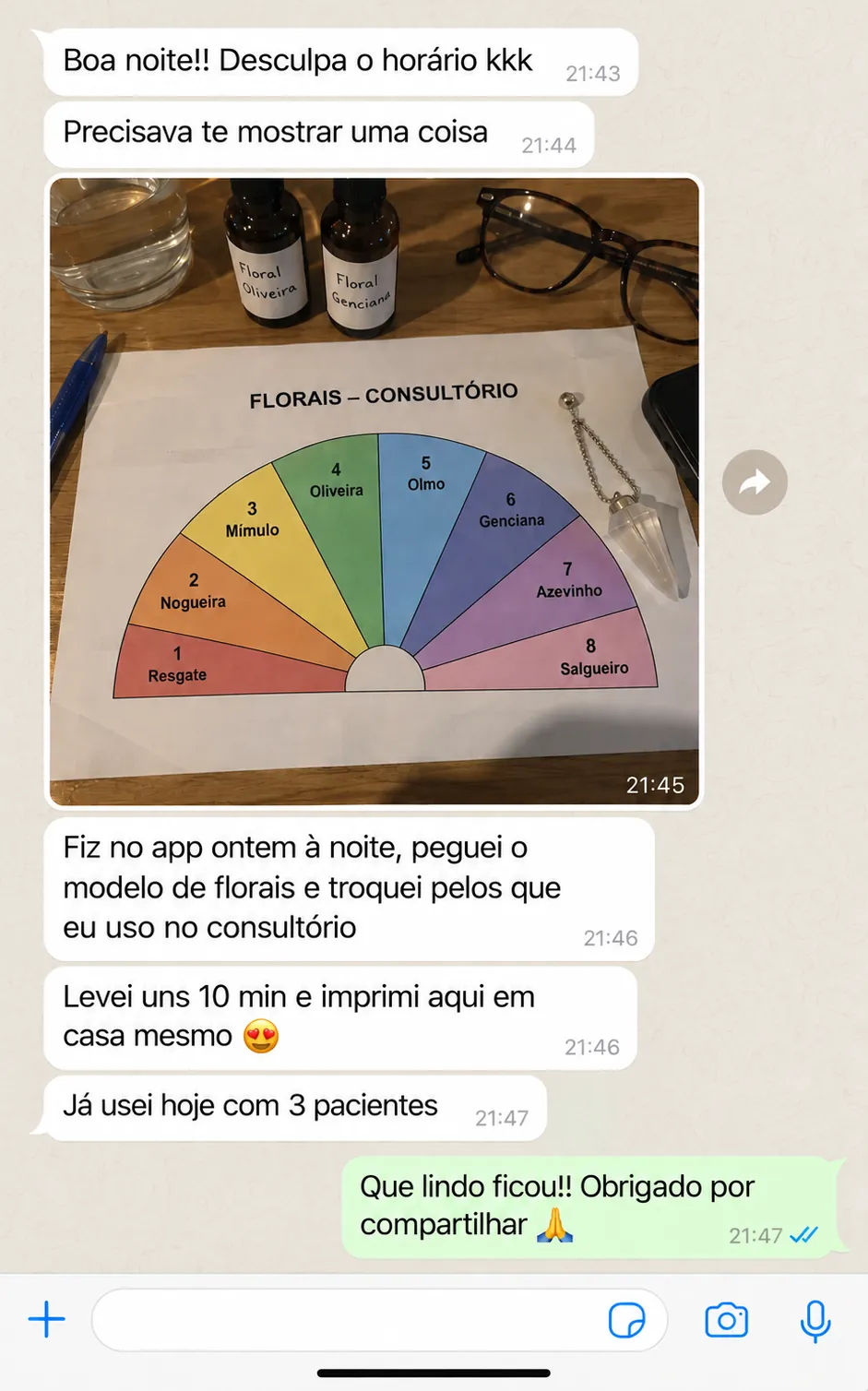 Print de conversa no WhatsApp: cliente mostra um gráfico de florais criado no app e impresso em casa
