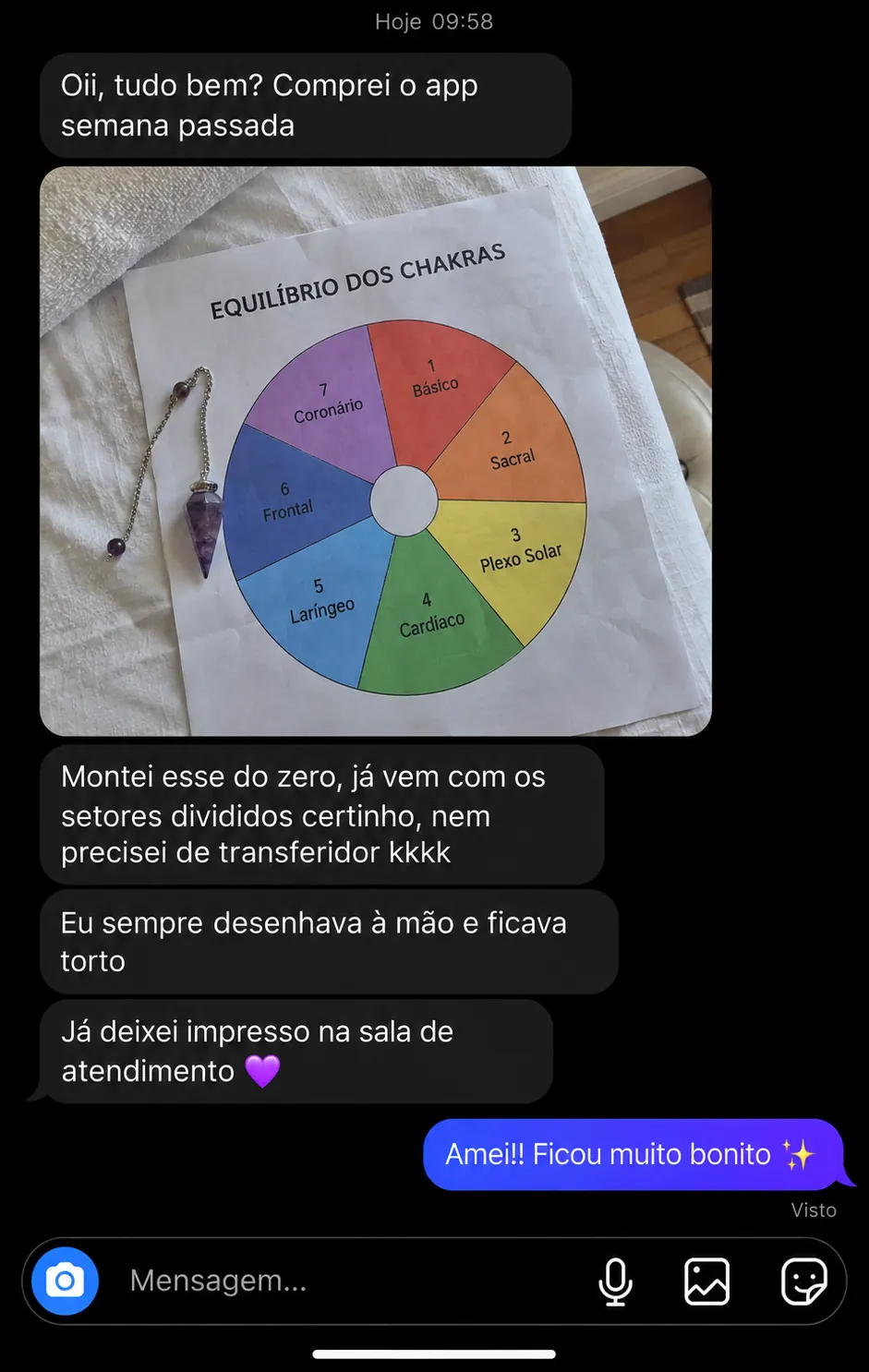 Print de conversa no Instagram: cliente mostra um gráfico de equilíbrio dos chakras feito do zero no app