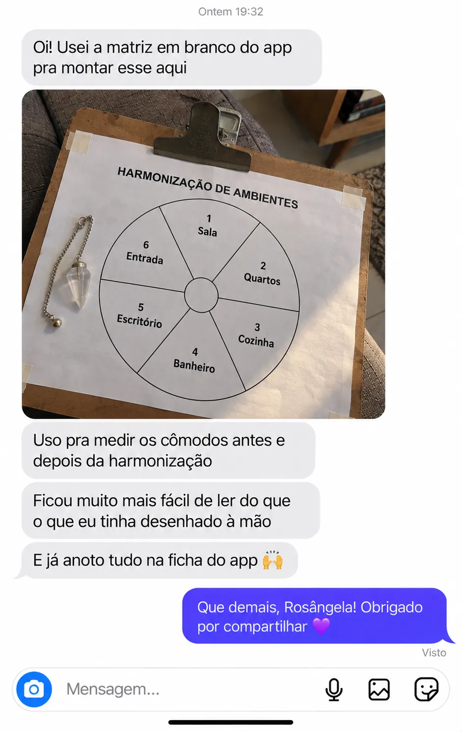 Print de conversa no Instagram: cliente mostra um gráfico de harmonização de ambientes feito na matriz em branco